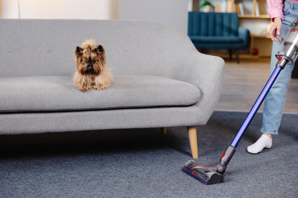 Pet-Friendly Cleaning